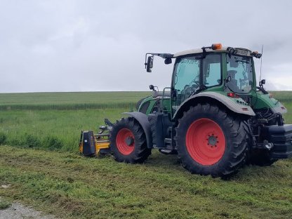 Bild 5:Mulcharbeiten