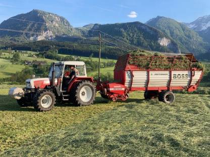 Bild 7:Steyr 970/964
