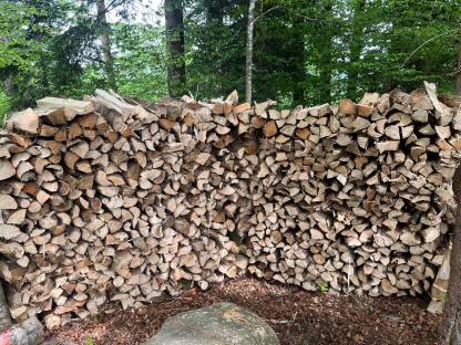 Brennholz Fichte 1 m Scheiter