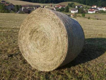 Bild 2:Bio Heuballen, Heu, Grummet