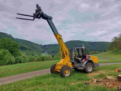 Paus Radlader Teleskoplader Schwenklader Hebebühne kein Bagger