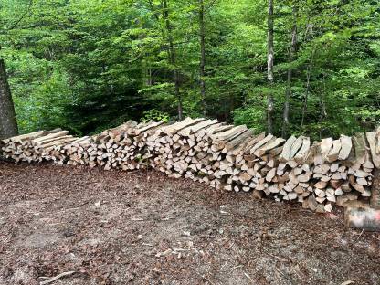 Brennholz Buche 1 m Scheiter