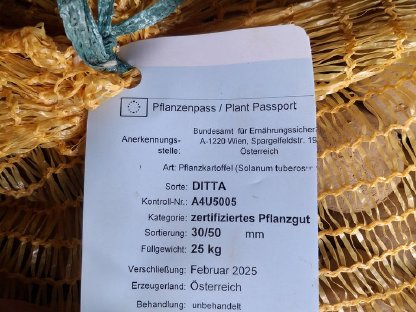 BIO Saatkartoffel DITTA