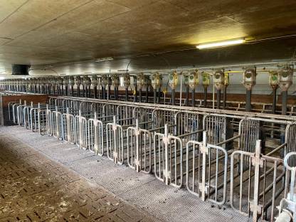 Bild 3:Aufstallung Komplettset der Firma Bräuer - Guter Zustand