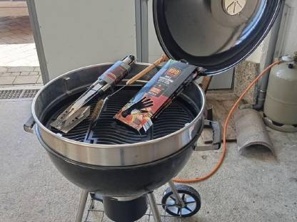 Napoleon Griller