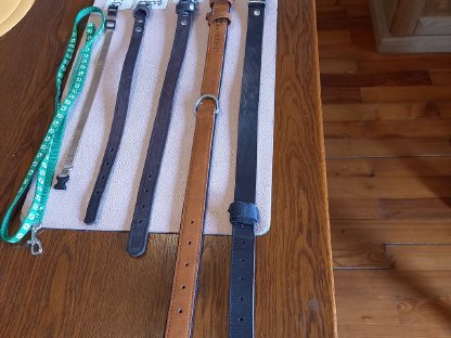 Bild 2:Halsbänder für Hunde