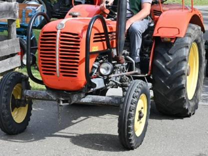 Bild 3:Steyr 288