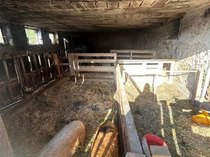 Bild 7:Landwirtschaft in 8184 Anger bei Weiz