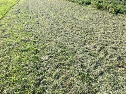 Bild 7:Pöttinger Hit 58 Kreiselheuer Heuwender (Verschleißteile neu)