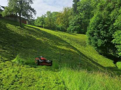 Mulcharbeiten, Mäharbeit, Böschungsmähen,