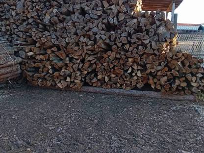 Holz