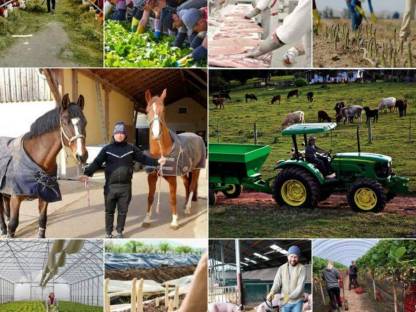 Arbeitskräftevermittlung in der Landwirtschaft