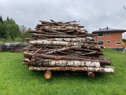 Brennholz (Stammholz)