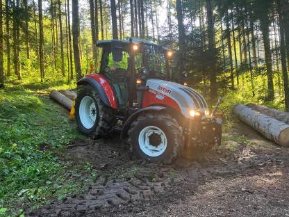 Bild 2:Forstdienstleistung