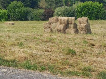 Bild 4:Heu in Kleinballen