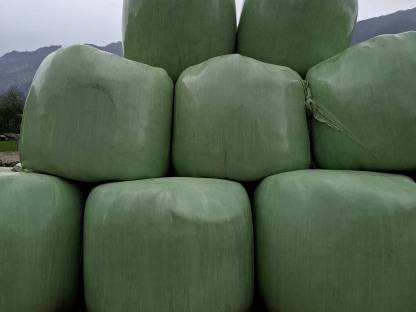 Siloballen, Silage 1. Schnitt