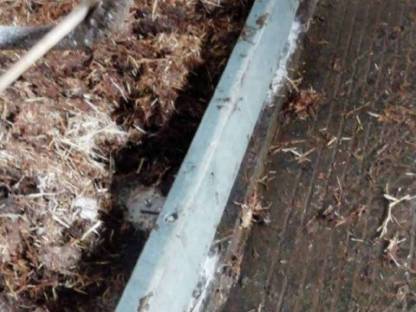 Bild 4:Kunststoff-Bugschwelle Kotschwelle Recyclingmaterial