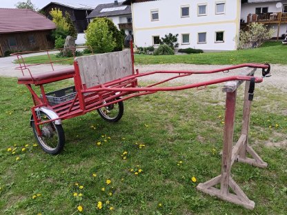 Bild 2:Ponywagen, Geschirr