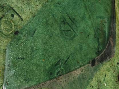 Bild 6:Skoda Roomster Schlachtfest