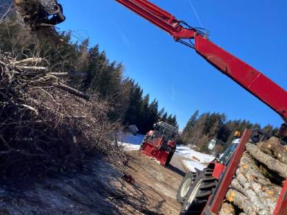 Bild 2:Hiab Forstkran