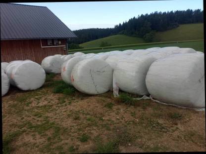 Silage 2024 130 cm