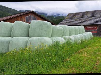 Grassilageballen