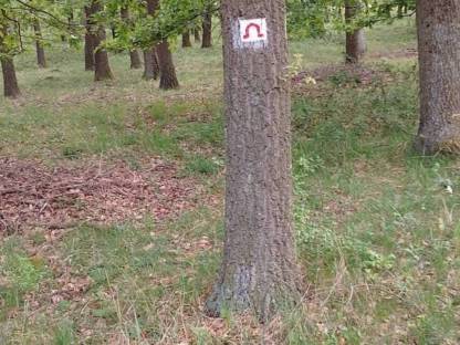 Waldstück