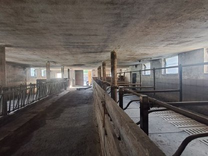 Bild 7:Aufstallung zu verkaufen