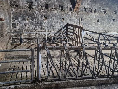 Bild 3:Aufstallung gebraucht zu verkaufen