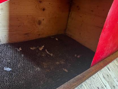 Bild 7:Hühnerstall für 150 Bio-Hühner