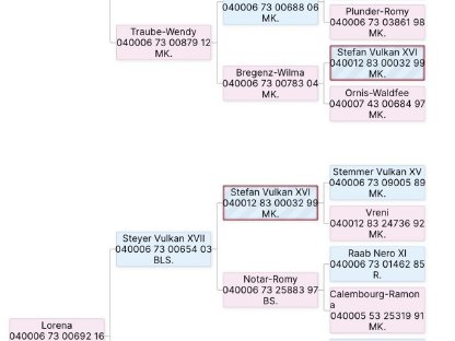 Bild 6:3-jährige Norikerstute