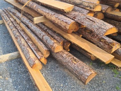 Bild 4:Lärchenstempel