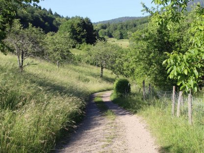 Suche Landwirtschaft/Pferdehof auf Leibrente oder Kauf