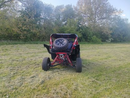 Buggy Side by Side