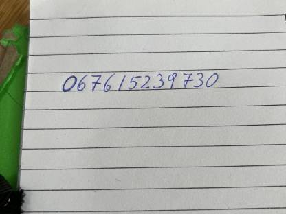 Bild 4:Schneeketten (Stachelketten)