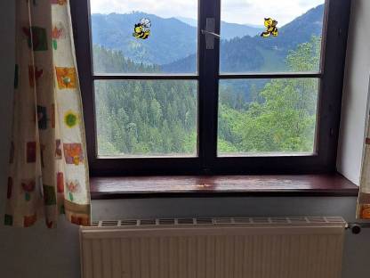 Verbuntfenster mit Balken