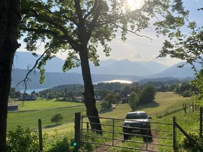 Sommerweide
