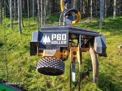 Koller P60