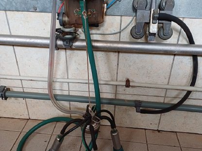 Bild 2:Melkstand, Sensorfütterung