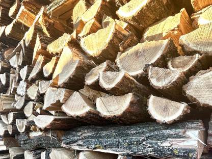 Bild 2:Brennholz, Hartholz