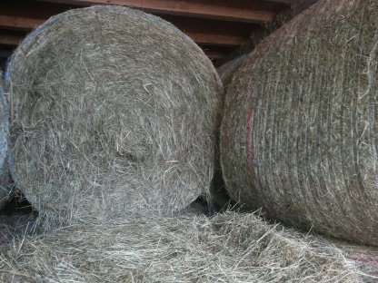 Heu und Grummetballen zu verkaufen