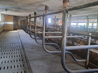Aufstallung zu verkaufen