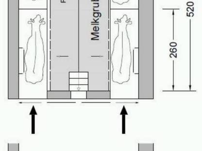 Bild 2:Durchtreibemelkstand neu