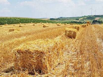 BIO Strohballen Ernte 2025