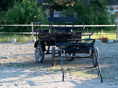 Bild 6:Ponykutsche