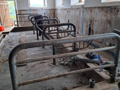 Aufstallung