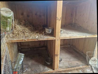 Bild 3:Stall für Kaninchen, Hasen