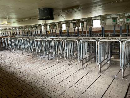 Bild 4:Aufstallung Komplettset der Firma Bräuer - Guter Zustand