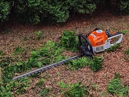 Bild 2:Übernehme Gartenarbeiten