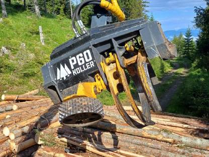 Bild 5:Koller P60 Notverkauf